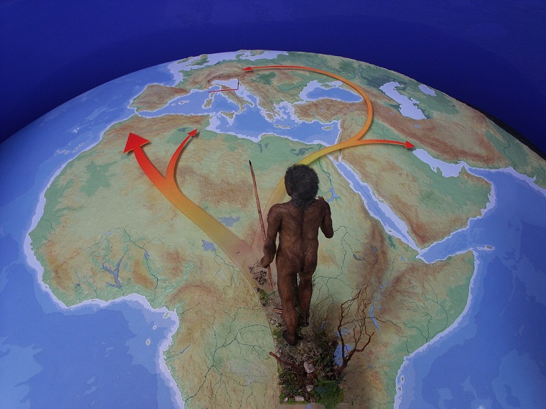 erectus e africa